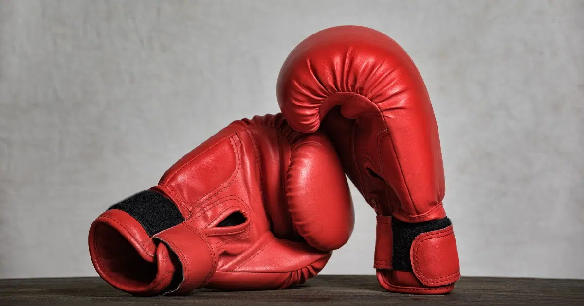 En İyi Boks Eldiveni » Bilgenin Tavsiyesi En İyi Boks Eldiveni - Bilgenin Tavsiyesi